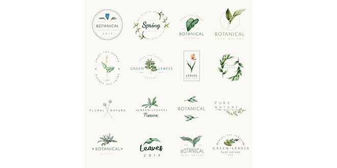 Set of nature and plant logo vectors