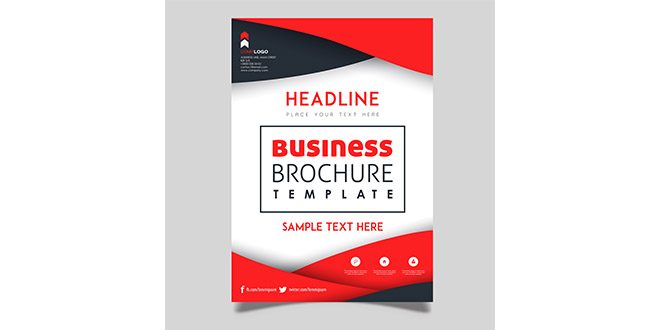 Colorful Vector Business Brochure Template Design Vector