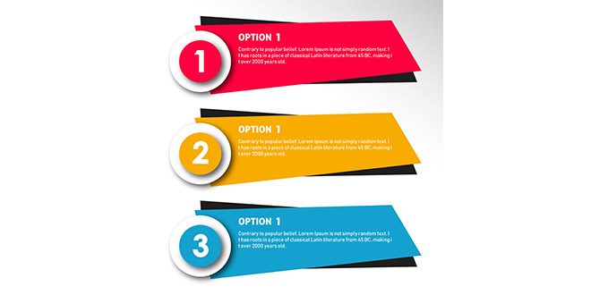 Colorful vector infographic Designs  Vector