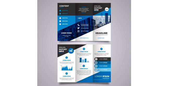 Trifold business brochure Vector