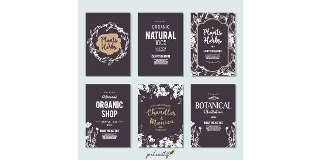 Plants and herbs banners set. Element for design or invitation card Free Vector