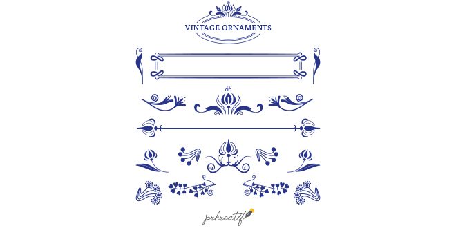 Collection of vintage ornaments Vector