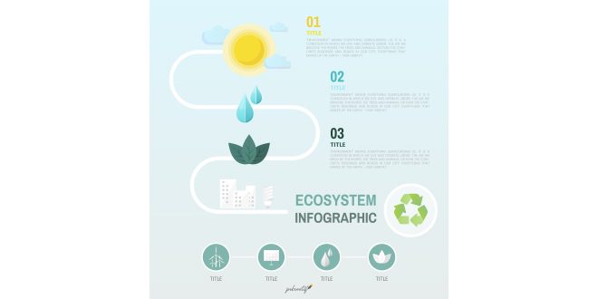 Ecosystem infographic environmental conservationVector