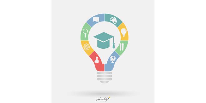 Education infographic template Vector
