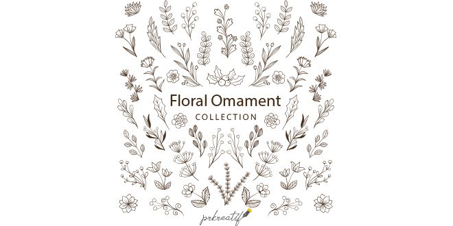 Floral ornament collection Vector