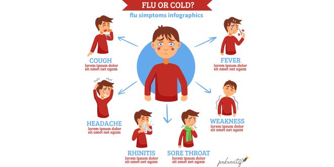 Flu cold symptoms flat circle infochart Vector