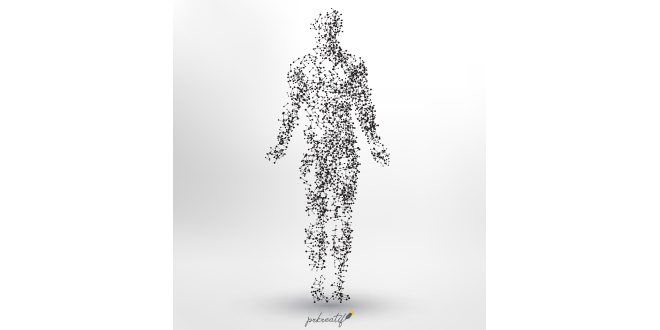 Human body shape background design Vector