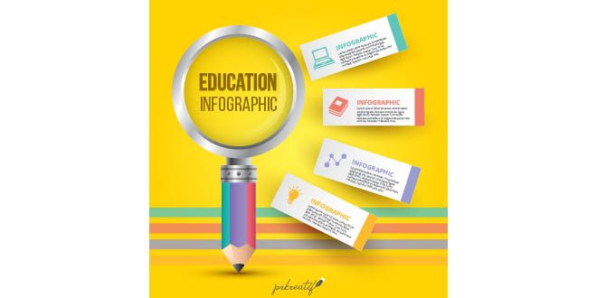 Infographic with various options for education issues Vector
