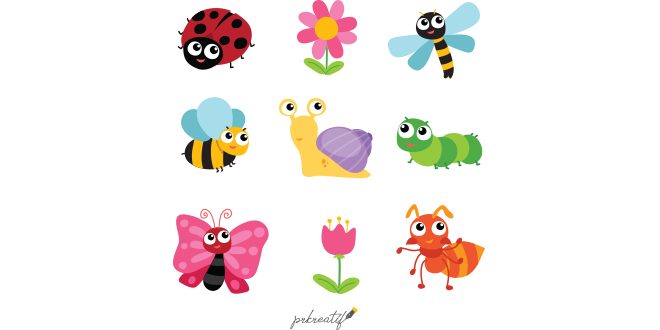 Insects and flowers collection Vector