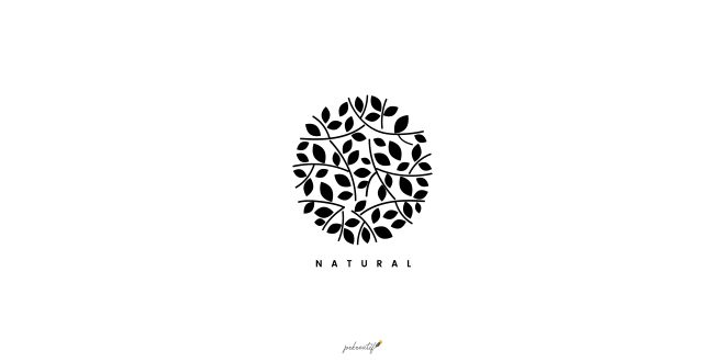 Natural leaf branding logo illustration Vector