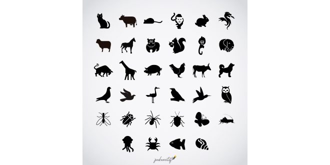 Simple birds silhouettes Vector