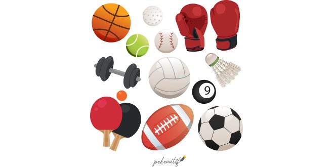 Sports elements collection Vector