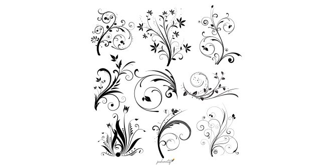 Various different floral designs Vector