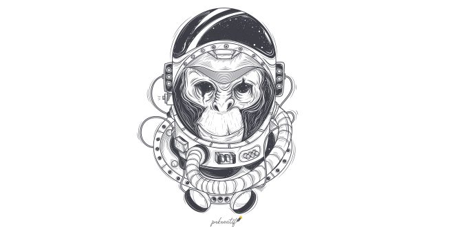 Vector hand drawn illustration of a monkey astronaut, chimpanzee in a space suit Vector