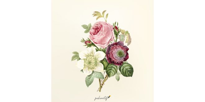 Vintage flower illustration Vector