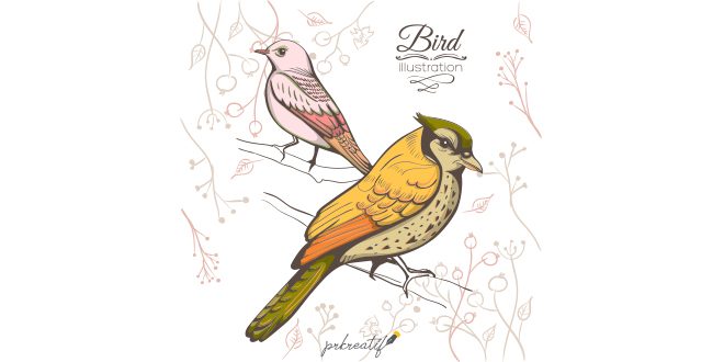 Illustration of bird handmade background