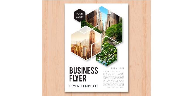 Business flyer template Vector